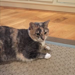 Welcome to my page! :)